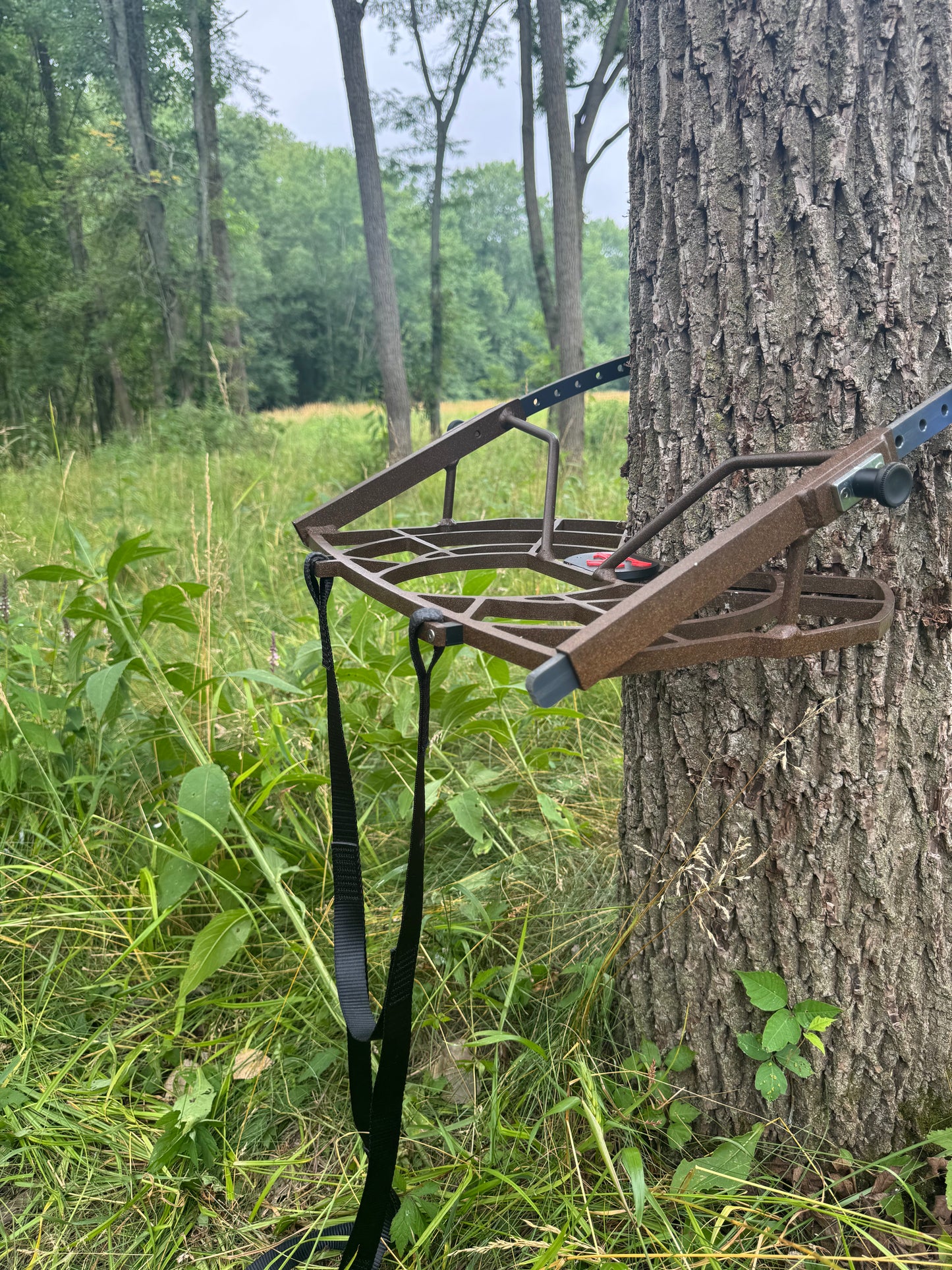 Panther Ultralight Quick Climber
