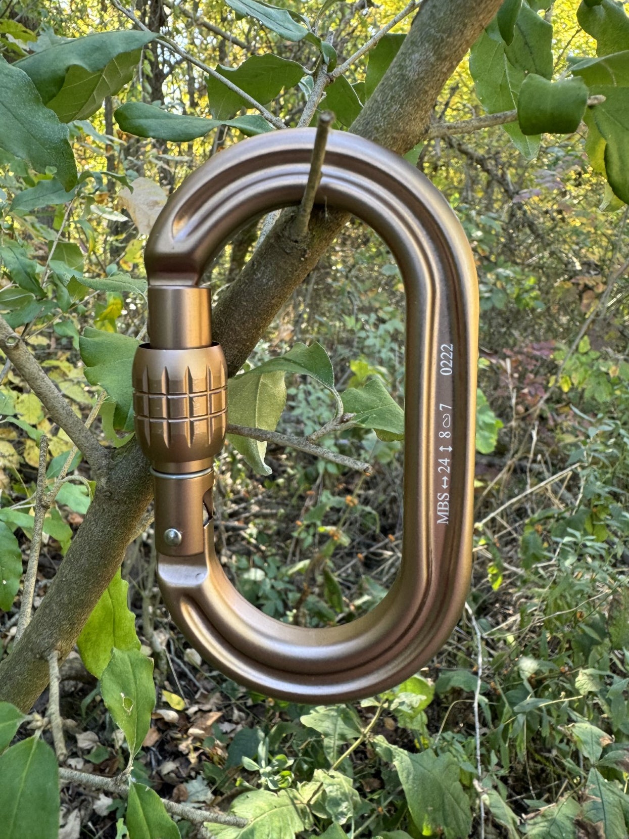 Omega Pacific Skrew lock Carabiner