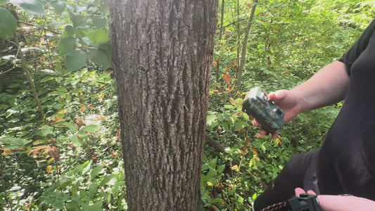 Trail Camera Mount